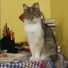 Отзыв от Нина Комиссарова